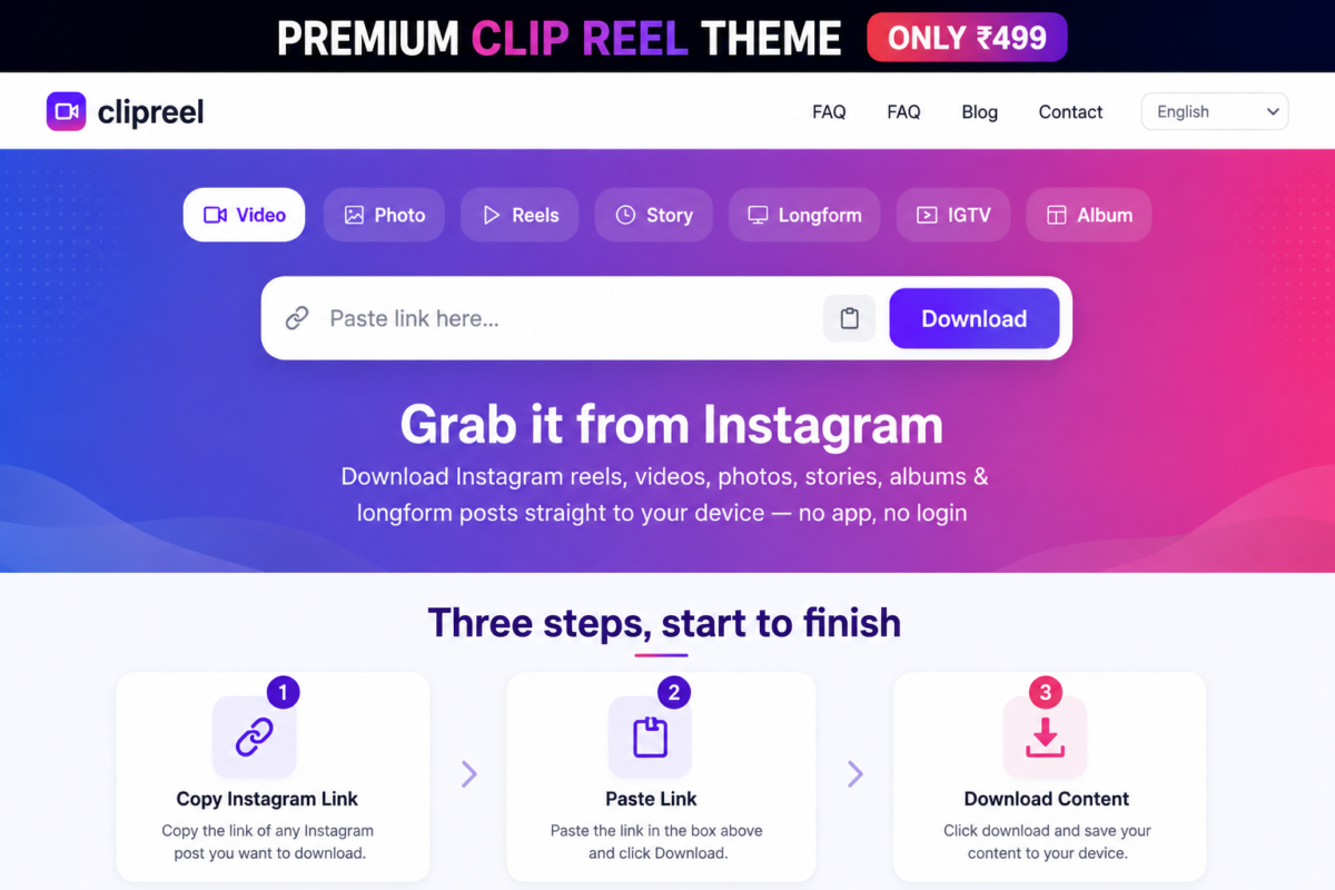 Instagram Reels Downloader WordPress Theme – Video Download Website Design